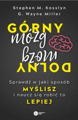 Górny mózg dolny mózg sprawdź w jaki sposób myślisz i naucz się robić to lepiej