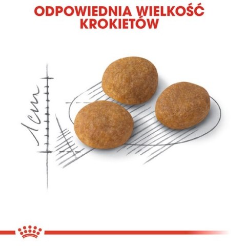 Royal Canin Exigent Aromatic Attraction karma sucha dla kotów dorosłych, wybrednych, kierujących się zapachem 400g