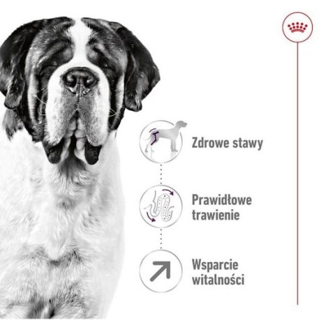 Royal Canin Giant Adult karma sucha dla psów dorosłych, od 18/24 miesiąca życia, ras olbrzymich 15kg