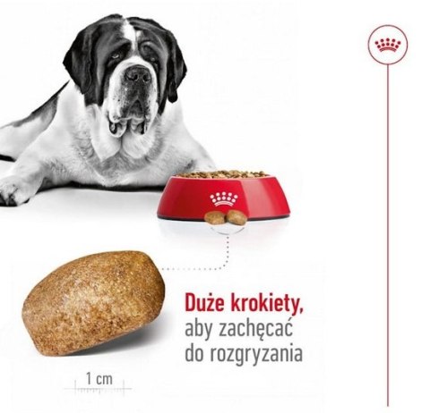 Royal Canin Giant Adult karma sucha dla psów dorosłych, od 18/24 miesiąca życia, ras olbrzymich 15kg