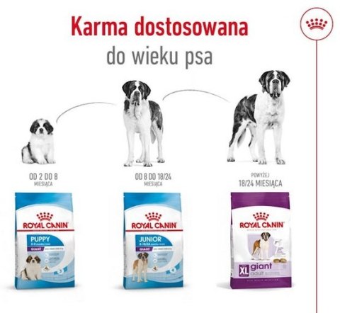 Royal Canin Giant Adult karma sucha dla psów dorosłych, od 18/24 miesiąca życia, ras olbrzymich 15kg