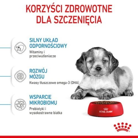 Royal Canin Medium Puppy karma sucha dla szczeniąt, od 2 do 12 miesiąca, ras średnich 15kg