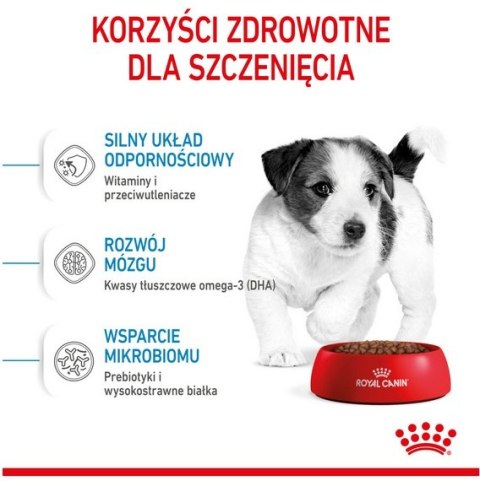 Royal Canin Mini Puppy karma sucha dla szczeniąt, od 2 do 10 miesiąca życia, ras małych 8kg