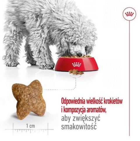 Royal Canin Mini Adult karma sucha dla psów dorosłych, ras małych 0,8kg