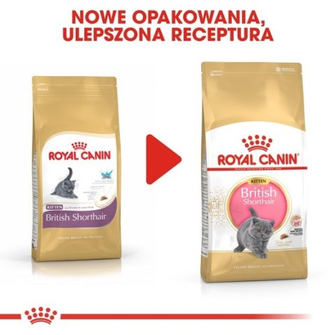 Royal Canin British Shorthair Kitten karma sucha dla kociąt, do 12 miesiąca, rasy brytyjski krótkowłosy 2kg