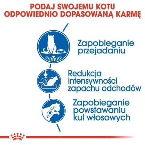 Royal Canin Indoor Apetite Control karma sucha dla kotów dorosłych, przebywających w domu, domagających się jedzenia 2kg