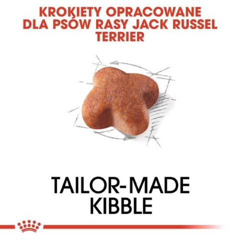 Royal Canin Jack Russell Terrier Adult karma sucha dla psów dorosłych rasy jack russell terrier 1,5kg Royal Canin Jack Russell Terrier Adult karma sucha dla psów dorosłych rasy jack russell terrier 1,5kg