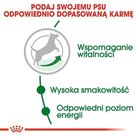 Royal Canin Mini Adult 8+ karma sucha dla psów starszych od 8 do 12 roku życia, ras małych 800g