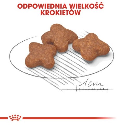 Royal Canin Mini Adult 8+ karma sucha dla psów starszych od 8 do 12 roku życia, ras małych 800g