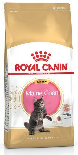 Royal Canin Maine Coon Kitten karma sucha dla kociąt, do 15 miesiąca, rasy maine coon 2kg