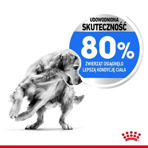 Royal Canin Medium Light Weight Care karma sucha dla psów dorosłych, ras średnich tendencją do nadwagi 3kg Royal Canin Medium Light Weight Care karma sucha dla psów dorosłych, ras średnich tendencją do nadwagi 3kg