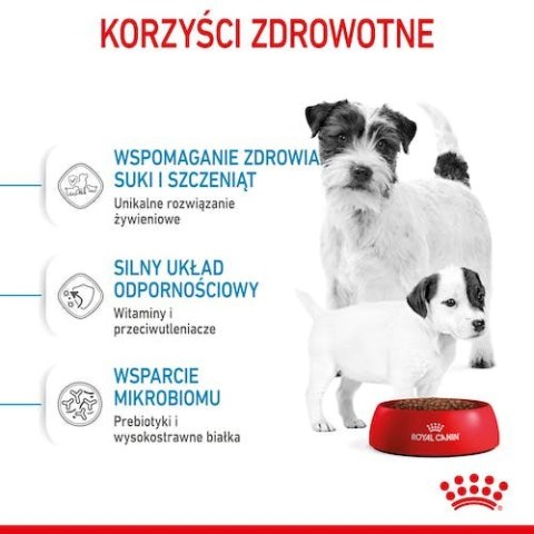 Royal Canin Mini Starter Mother&Babydog karma sucha dla szczeniąt do 2 miesiąca i suk karmiących ras małych 1kg