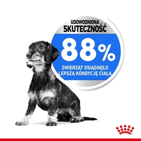 Royal Canin Mini Light Weight Care karma sucha dla psów dorosłych, ras małych z tendencją do nadwagi 1kg