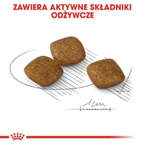 Royal Canin Mini Relax Care karma sucha dla psów dorosłych, ras małych, narażonych na działanie stresu 1kg