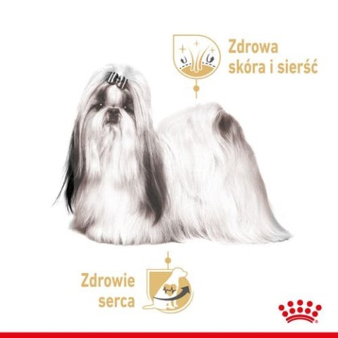 Royal Canin Shih Tzu Adult karma mokra dla psów dorosłych rasy shih tzu saszetka 85g