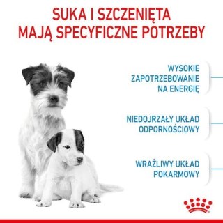 Royal Canin Mini Starter Mother&Babydog karma sucha dla szczeniąt do 2 miesiąca i suk karmiących ras małych 8kg