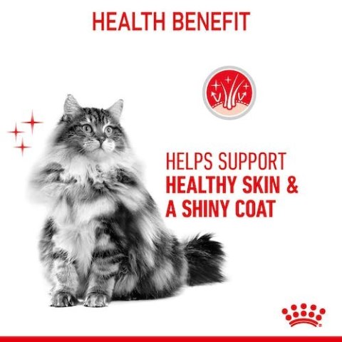 Royal Canin Hair&Skin Care karma sucha dla kotów dorosłych, lśniąca sierść i zdrowa skóra 2kg