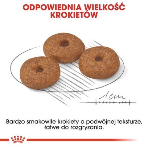 Royal Canin Mini Ageing 12+ karma sucha dla psów dojrzałych po 12 roku życia, ras małych 800g