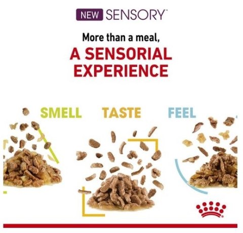 Royal Canin Sensory Smell w sosie karma mokra dla kotów dorosłych saszetka 85g