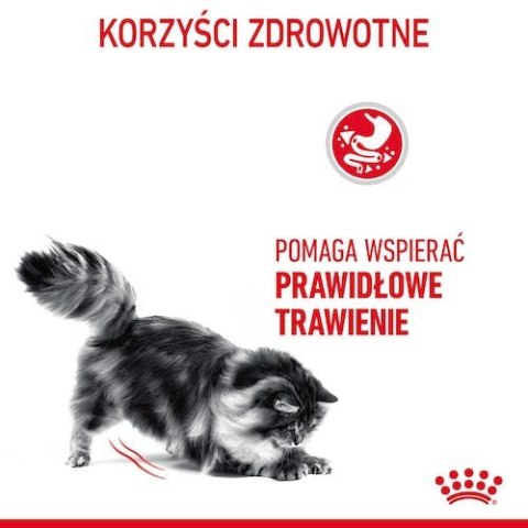 Royal Canin Digestive Care karma sucha dla kotów dorosłych, wspomagająca przebieg trawienia 10kg Royal Canin Digestive Care karma sucha dla kotów dorosłych, wspomagająca przebieg trawienia 10kg