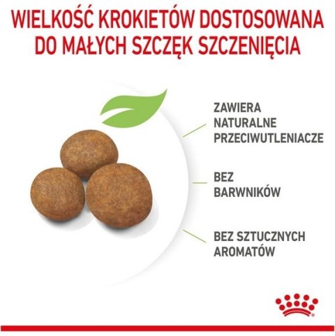 Royal Canin Maxi Puppy karma sucha dla szczeniąt, od 2 do 15 miesiąca życia, ras dużych 4kg