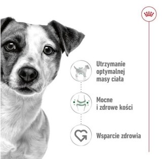 Royal Canin Mini Adult karma sucha dla psów dorosłych, ras małych 8kg