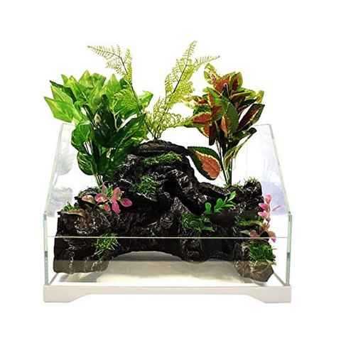 SunSun Aqua Paludarium 30 l - zestaw paludarium