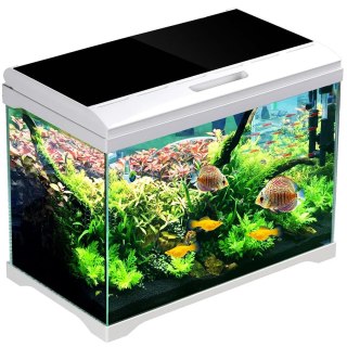 SunSun Supreme AquaPlant 40l - zestaw akwarium