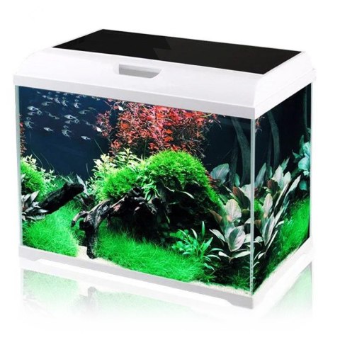 SunSun Supreme AquaPlant 40l - zestaw akwarium