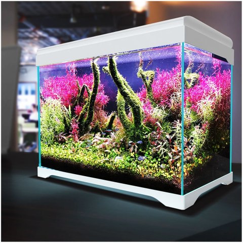 SunSun Supreme AquaPlant 40l - zestaw akwarium