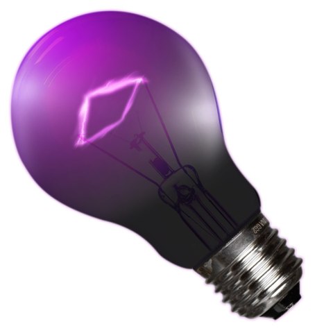 Repti-Zoo Night Heat Bulb 75W - żarówka grzewcza nocna Repti-Zoo Night Heat Bulb 75W - żarówka grzewcza nocna