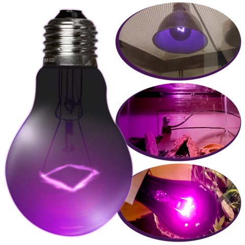 Repti-Zoo Night Heat Bulb 75W - żarówka grzewcza nocna Repti-Zoo Night Heat Bulb 75W - żarówka grzewcza nocna