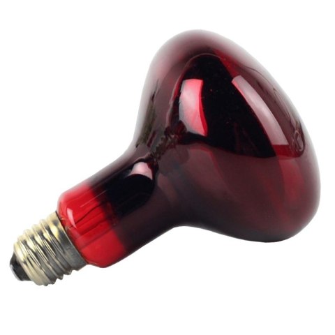 Komodo Infrared 50W - żarówka grzewcza podczerwona Komodo Infrared 50W - żarówka grzewcza podczerwona