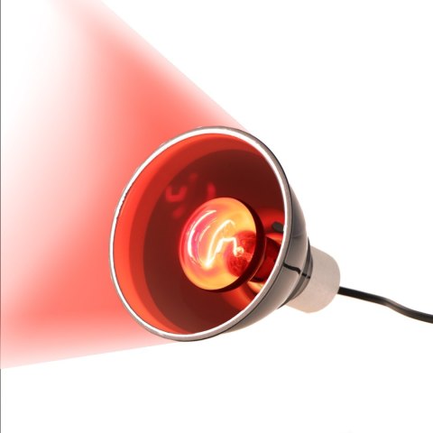 Repti-Zoo Infrared Heat 35W - żarówka grzewcza podczerwona Repti-Zoo Infrared Heat 35W - żarówka grzewcza podczerwona