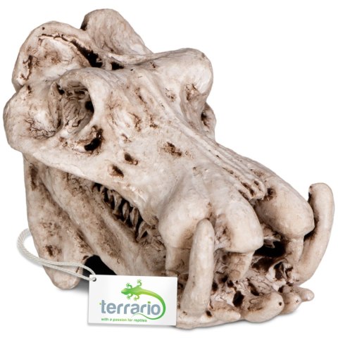 Terrario Hippo Skull - czaszka hipopotama do terrarium 5x3x3 cm