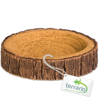 Terrario Tree Ring Bowl XS - Miska do Terrarium 6x5x1 cm