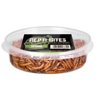 Terrario Repti Bites Mealworms 125ml - larwy mącznika suszone