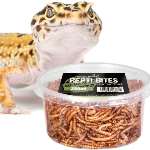 Terrario Repti Bites Mealworms 250ml - larwy mącznika suszone