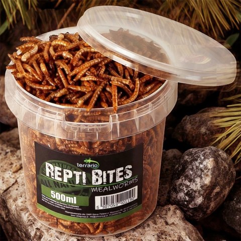 Terrario Repti Bites Mealworms 500ml - larwy mącznika suszone