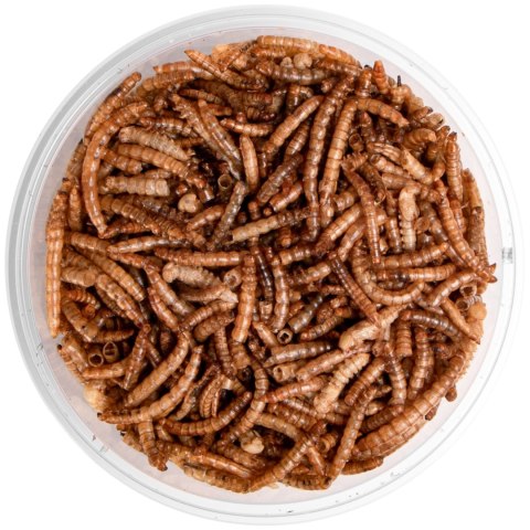 Terrario Repti Bites Mealworms 500ml - larwy mącznika suszone