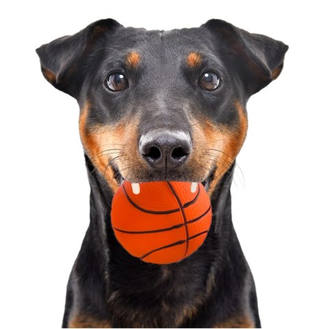 HappyPet Sports Balls - sprężysta piłka