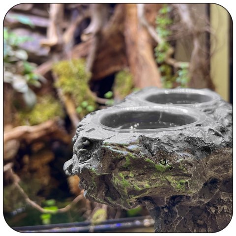 Resun Hanging Stone Dish - miska wiszący kamień