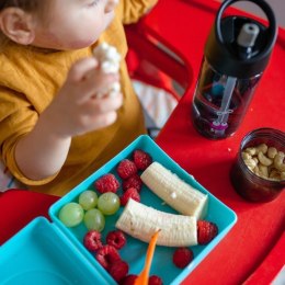 Carl Oscar Kids Sandwich Box Pojemnik na przekąski i kanapki Grey - Spider